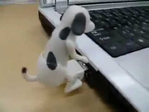 dog cat animated xxx